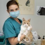 Hospital veterinario público será realidad en Paraguay