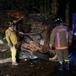 Ayolas: sacerdote chocó contra un árbol y falleció