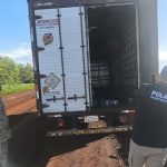 Camión de encomiendas es asaltado por un grupo armado en Capitán Meza