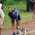 Piden no llevar mascotas en la peregrinación de Caacupé 2025