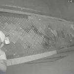 Asalto nocturno: víctima relata ataque en su pieza