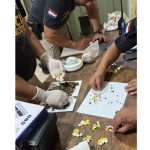 Hallan droga lanzada desde la calle hacia el Penal de Tacumbú