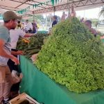 Feria de la Agricultura familiar en el microcentro de Asunción