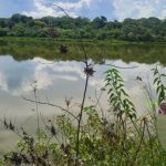 Hallan sin vida a menor desaparecido en lago de Villarrica