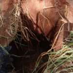 Policía desactivó un artefacto explosivo en Marina Cué