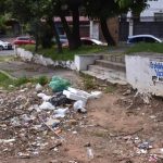 Dengue: alertan sobre riesgo de brotes pese a baja circulación