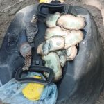 Hallan dinero, municiones y objetos de valor dentro del avión incendiado en Concepción