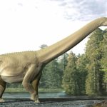 Descubren nueva especie de dinosaurio en la Patagonia