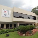 Funcionaria del TSJE es procesada por presentar ocho certificados médicos falsos