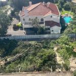 Tala ilegal en Trinidad: Fuelpar SA destruye pulmón verde