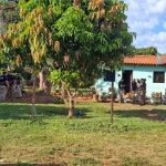 Fiscalía realizó allanamientos simultáneos en Ypané para dar con los cómplices de “Pingüi”