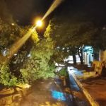 Temporal provocó severos daños materiales en Concepción