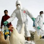 Senacsa declara alerta por gripe aviar en Argentina