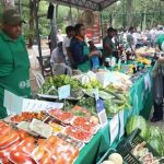 MAG anuncia cuatro ferias agrícolas en Asunción y Central