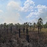 Incendio arrasa 40 hectáreas en San Bernardino
