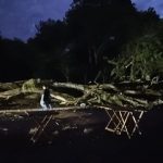 Temporal en Alto Paraná: caída de árboles y cortes de energía eléctrica