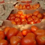 Tomate caro: cruce entre Abasto y el MAG