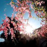 Fin de semana con calor en aumento en el país