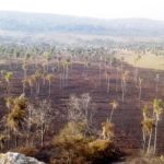 Infona prohíbe el uso de fuego en todo el país por incendios