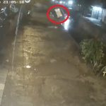 Conductora cae a desagüe en Sajonia tras seguir GPS