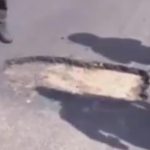 Bache en pista retrasa vuelo a Madrid