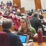 Diputados sancionan reforma de la Caja Fiscal