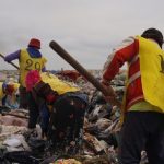 Cateura: hallan nutrientes que reducen daño en el ADN