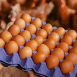 Huevo sube por alta demanda en Semana Santa