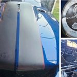 Incautan Mustang oculto en camión en Itapúa