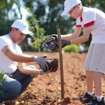 Invitan a plantar árboles nativos en Yaguarón