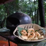 ¿Cuándo cae la Semana Santa 2026?