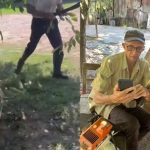 Tom, el perro que ayuda a podar árboles