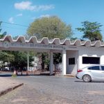 Polémica licitación del IPS para poda y limpieza a nivel nacional