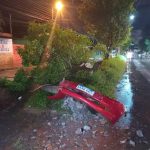Ñemby: Menor al volante choca contra columna y árbol
