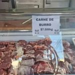 Carne de burro en Argentina: plan piloto busca alternativa más barata