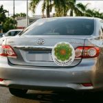 Diputados aprueban distintivo de ñandutí para conductores mayores