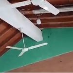 Aula en Coronel Bogado afectada por murciélagos