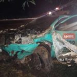 Yby Ya’u: caballo suelto provoca choque de ANDE