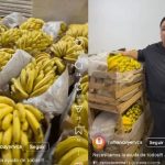 400 cajas de banana rechazadas para Hambre Cero