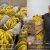 400 cajas de banana rechazadas para Hambre Cero