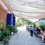 MuCi lanza actividades científicas al aire libre