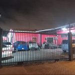 Investigan maltrato animal por muerte de gatitos en Asunción