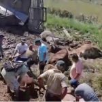 Accidente de camión termina en faena masiva