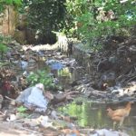 Falta de desagüe mantiene inundada zona de la Universidad Católica