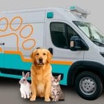 Impulsan campaña por una ambulancia para animales