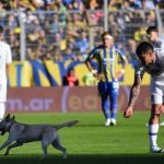 Perrito interrumpe partido en Argentina y se vuelve viral