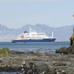 Supuesto brote de hantavirus en un crucero deja tres muertos