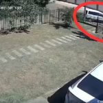 Denuncia de rapto en Coronel Oviedo termina siendo falsa