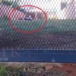 Dueño halló su auto y tuvo que hacer vigilia