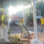 Político sampedrano murió atropellado frente a su casa
